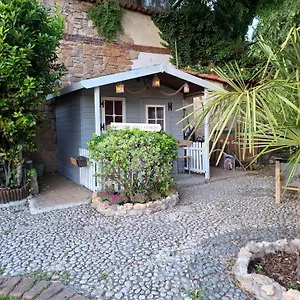 Corte Colli Antichi , Sona Italie